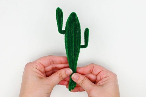 Pipe Cleaner Cactus