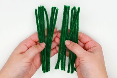 Pipe Cleaner Cactus