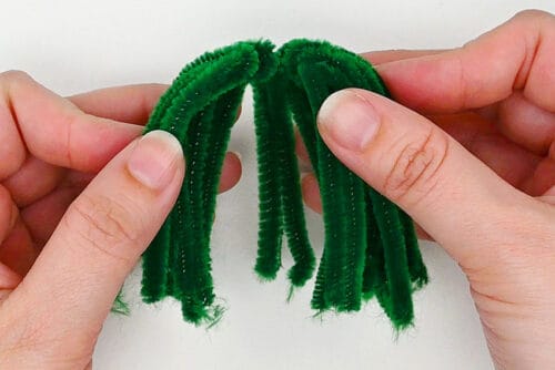 Pipe Cleaner Cactus