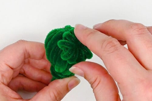 Pipe Cleaner Cactus