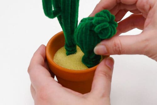 Pipe Cleaner Cactus