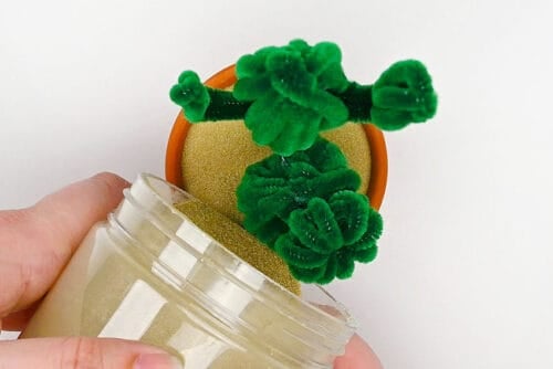Pipe Cleaner Cactus