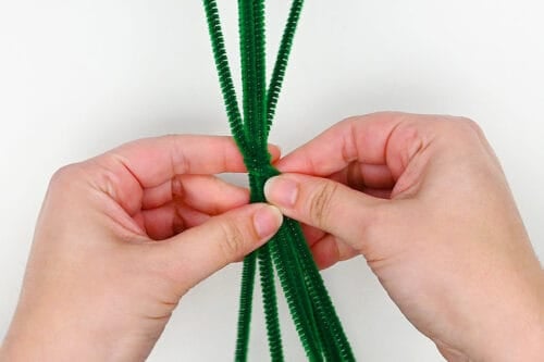 Pipe Cleaner Cactus