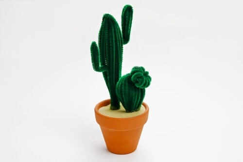 Pipe Cleaner Cactus