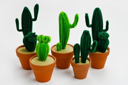Pipe Cleaner Cactus