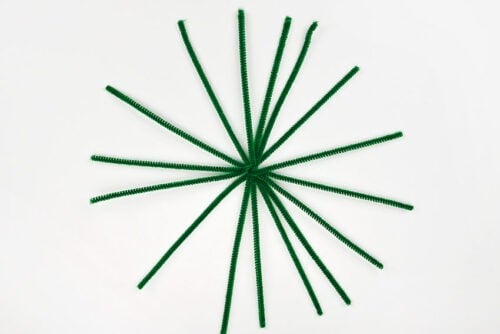 Pipe Cleaner Cactus