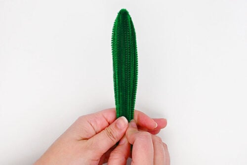 Pipe Cleaner Cactus