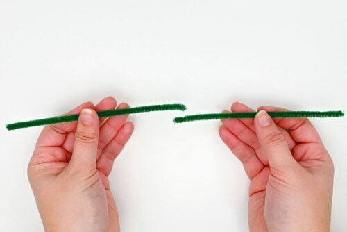 Pipe Cleaner Cactus