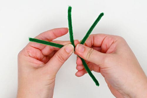 Pipe Cleaner Cactus