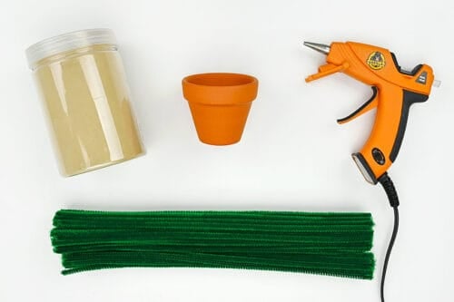 Pipe Cleaner Cactus Supplies
