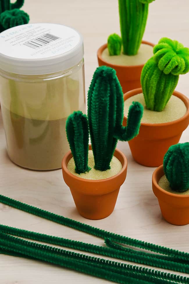 Pipe Cleaner Plant Pipe cleaner succulent plants with sand to plant them in