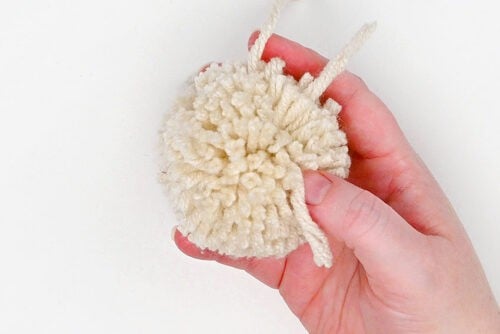 Pom Pom Dog