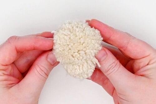 Pom Pom Dog