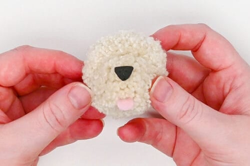Pom Pom Dog