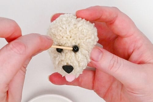 Pom Pom Dog