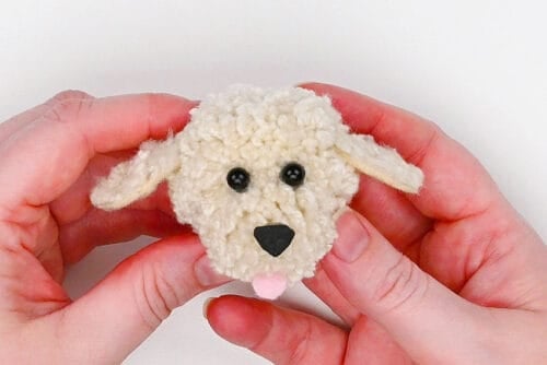 Pom Pom Dog