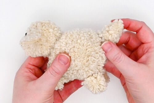 Pom Pom Dog