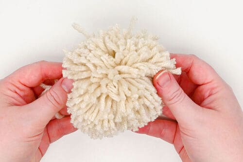 Pom Pom Dog
