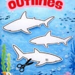Printable Shark Template