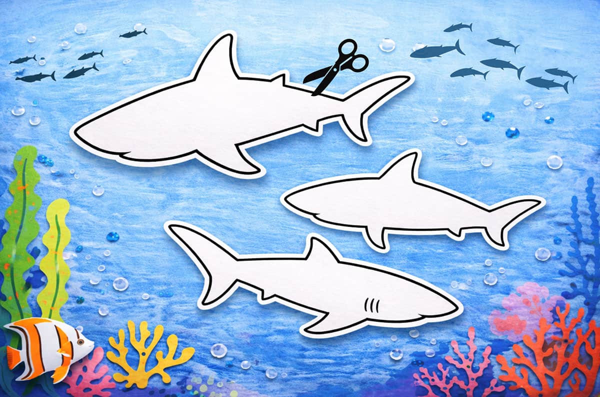 Shark Outlines Printable shark templates