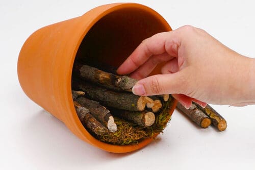 Bug Hotel
