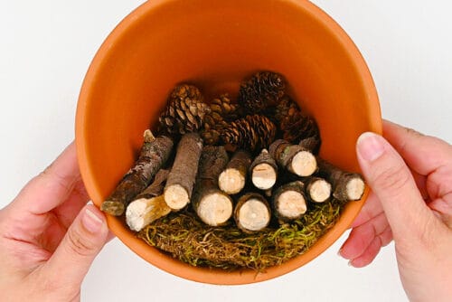 Bug Hotel