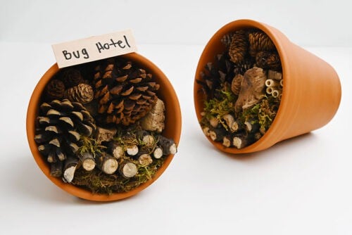Bug Hotel