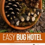 Making a bug hotel