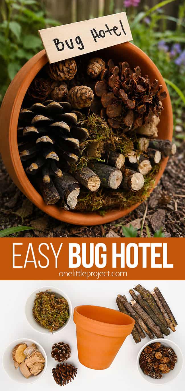 Bug Hotel – Easy DIY Insect Hotel for Kids