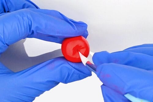 Clay Fruit