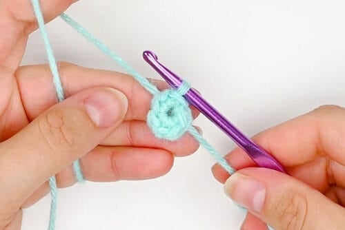 Crochet Octopus