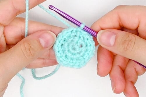 Crochet Octopus