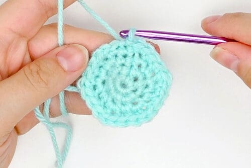 Crochet Octopus