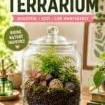 DIY terrarium craft