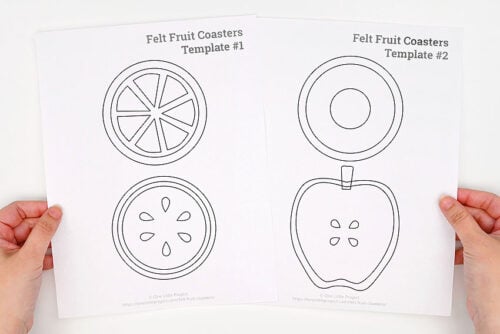 Felt Fruit Coasters