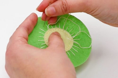 Felt Fruit Coasters