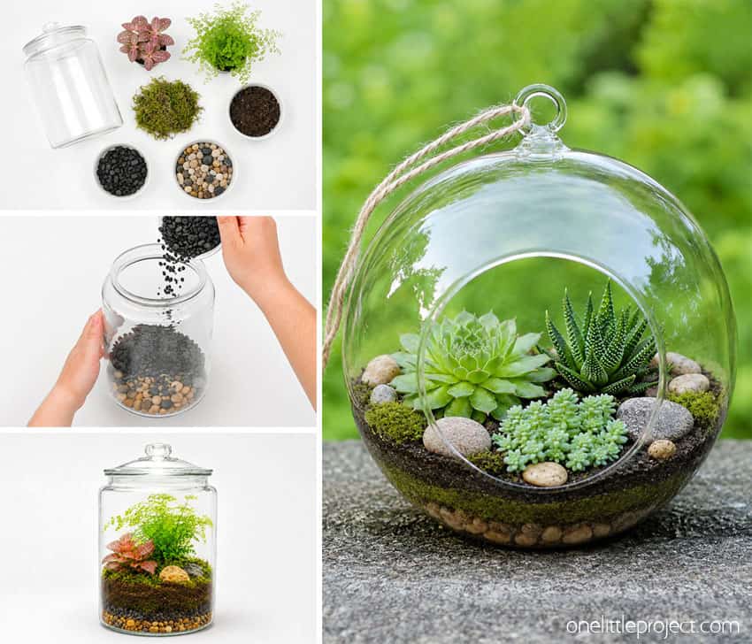 How to Make a Terrarium DIY open terrarium