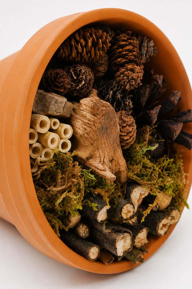 How to Make a Bug Hotel Closeup on an insect hotel with moss, sticks, bamboo straws, pinecones, and more