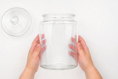 How to Make a Terrarium
