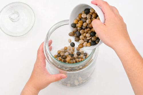 How to Make a Terrarium