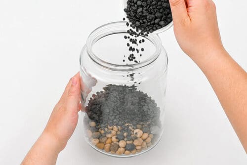 How to Make a Terrarium