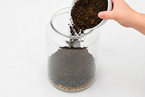 How to Make a Terrarium