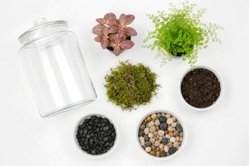 How to Make a Terrarium Supplies