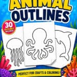 Outline of Animals