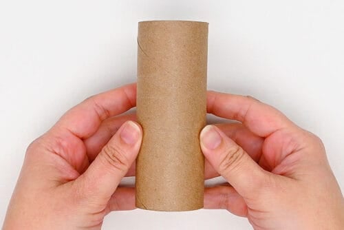 Toilet Paper Roll Cactus