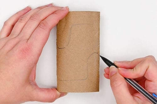 Toilet Paper Roll Cactus