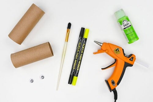Toilet Paper Roll Cactus Supplies