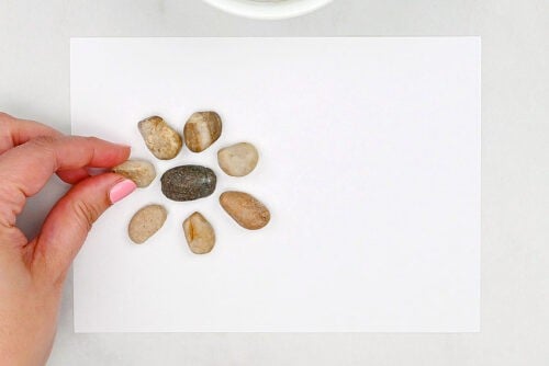 Pebble Art
