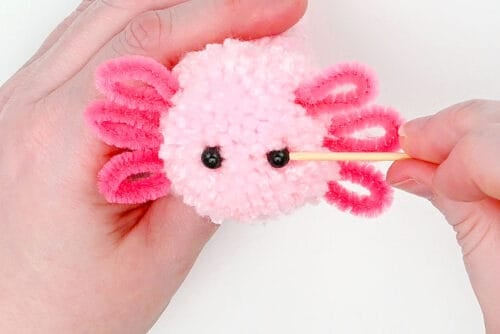 Pom Pom Axolotl