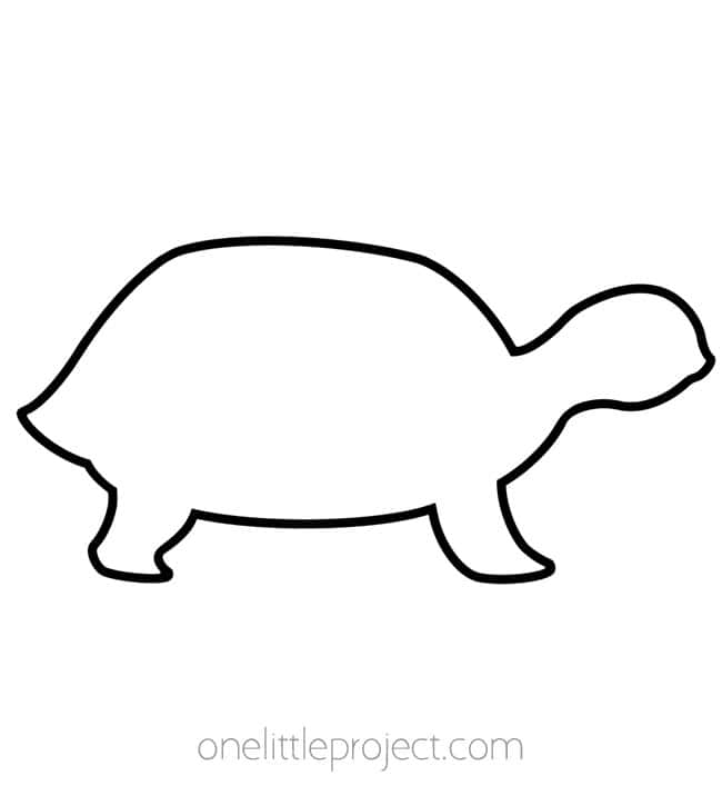 Animal Templates Animal templates - turtle